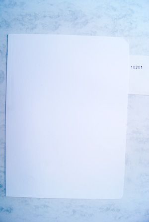 Ra-Handaktenmappen naturweiss Ra-Handaktenmappen naturweiss